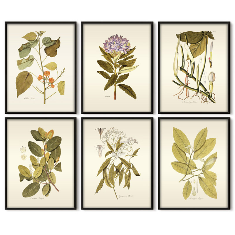 Office Furniture York - ハーブ植物の壁の芸術の絵画,ヴィンテージの花の葉,家,オフィス,寝室,壁の装飾のためのキャンバスの写真,ミニマリストのポスター