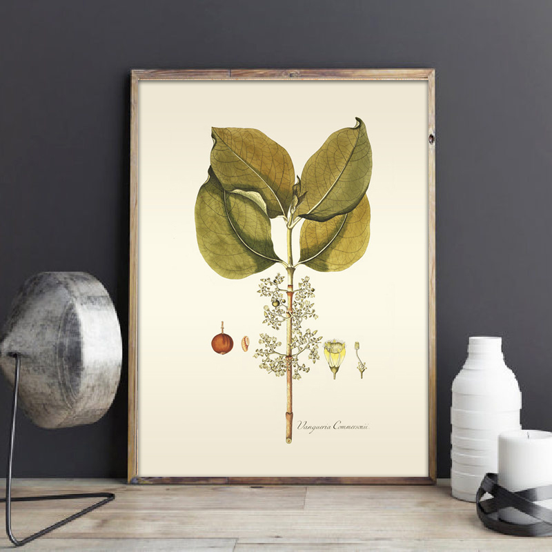 ハーブ植物の壁の芸術の絵画,ヴィンテージの花の葉,家,オフィ - Office Furniture York のレビューと価格