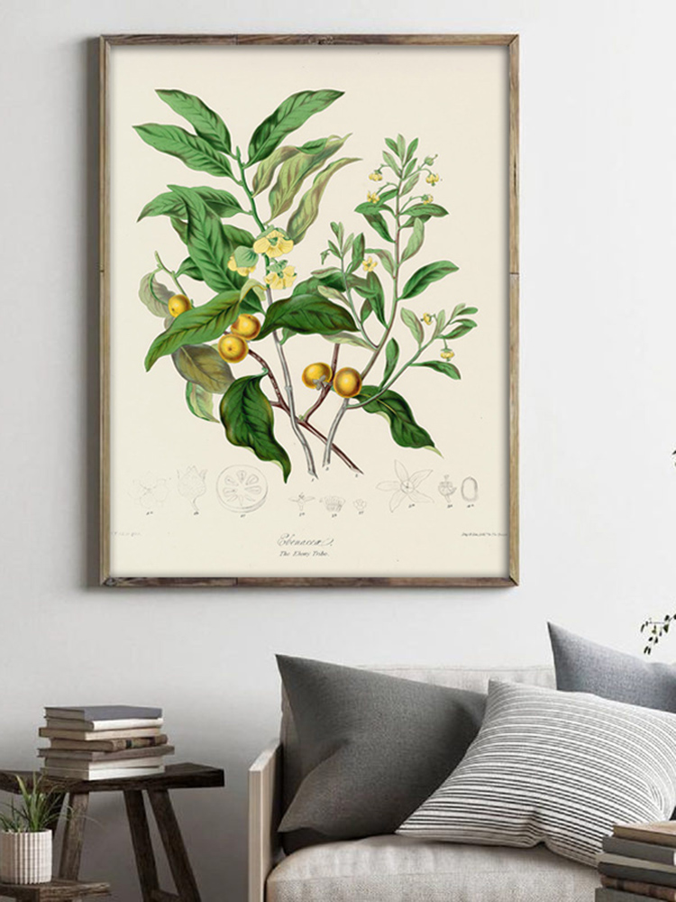ハーブ植物の壁の芸術の絵画,ヴィンテージの花の葉,家,オフィ - Office Furniture York のレビューと価格